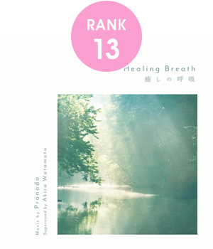 13位