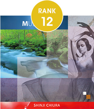12位
