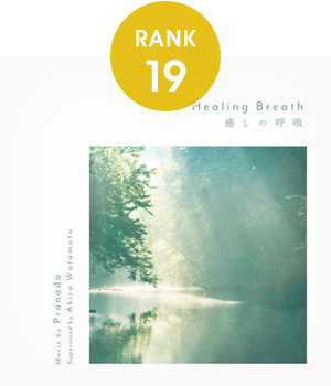 19位